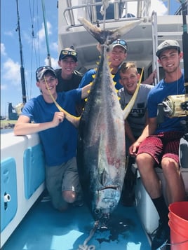 Deep Sea Sport Fishing