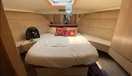 Deep Sea Sport Fishing