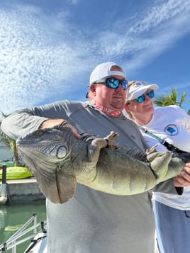 Iguana Hunt 