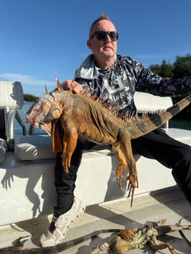 Iguana Hunt 