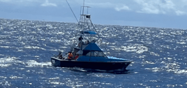 35 Foot Bertram