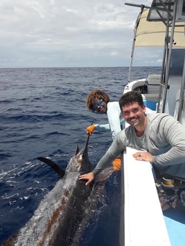 Sport Fishing Trip - 28'