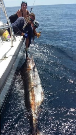 Sport Fishing Trip - 28'