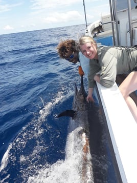 Sport Fishing Trip - 28'