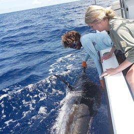 Offshore Fishing Trip - 28'