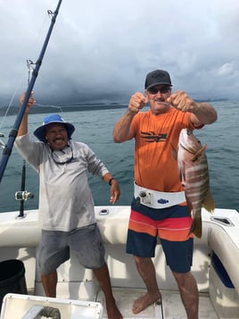 Sport Fishing Trip - 28'