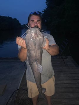 Catfish Fishing Trip