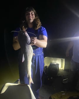 Catfish Fishing Trip
