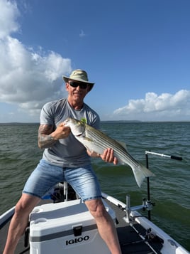 4 Hour Striper-White Bass-Hybrid 