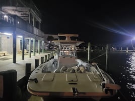 6 Hour Trip – Nearshore