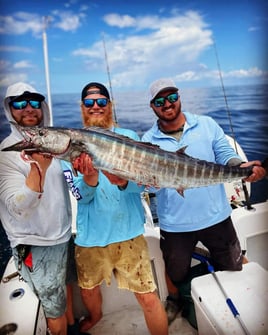 6-10 Hour Trip – Offshore