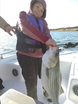 Winter Lure Big Fish Special