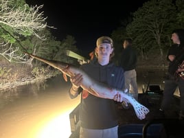 4-6 Hour Trip – Bowfishing