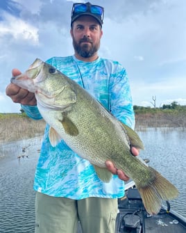 Lake Fishing - Buchanan, Inks