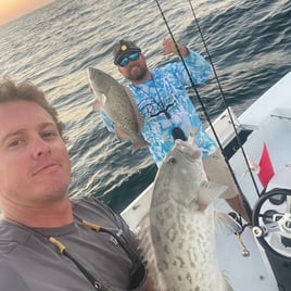 4-6 hour Nearshore Fishing