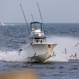 4-6 hour Nearshore Fishing