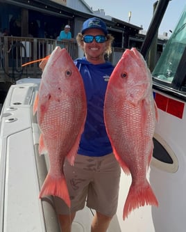 4-8 hour Offshore Fishing