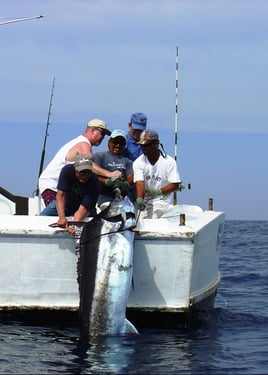 BIG GAME FISHING IN MAZATLAN, MEX