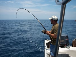 INSHORE FISHING IN MAZATLAN, MEXICO