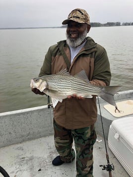 Morning or Afternoon Trips 