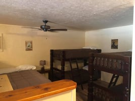 Morning Or Afternoon Trips 