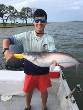 Morning or Afternoon Trips 