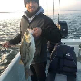 Morning or Afternoon Trips 