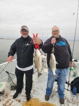 Morning or Afternoon Trips 