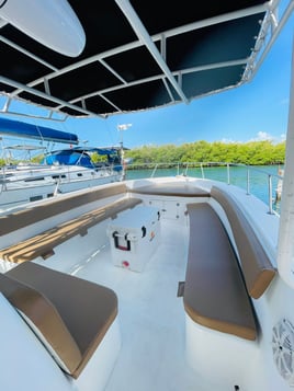 Private Whale Shark Tour