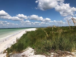 Full or Half Day Sail