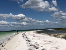 Full or Half Day Sail