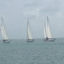 Set Sail with Captain Harry