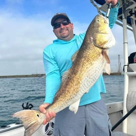 4 - hour Rod Bending Jetty Trip