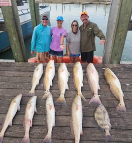 4 - hour Rod Bending Jetty Trip