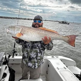 4 - hour Rod Bending Jetty Trip