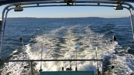 4-6 Hour Fishing Trip