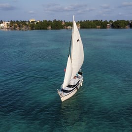 Full Day Holchan Sail & Snorkel