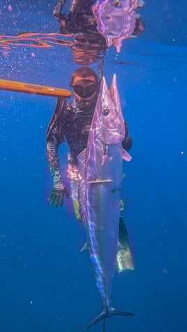 4 Hoyur trip AM or PM