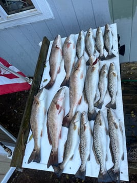 3/4 Day Inshore Trip