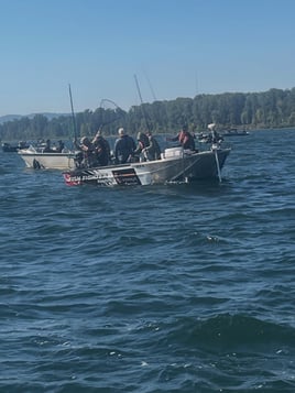 Salmon Fishing Trips