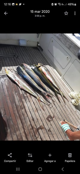 Offshore Fishing Trip