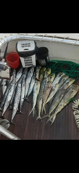 Offshore Fishing Trip