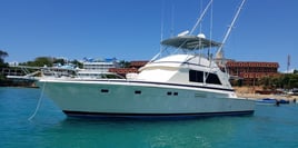 Offshore Fishing Trip