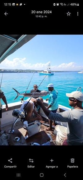 Offshore Fishing Trip