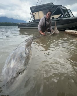 World Class Fraser Sturgeon Fishing