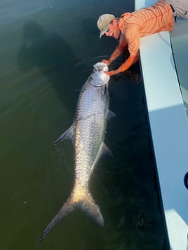 Fly fish lagoons and backwaters 