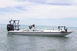 Fly fish lagoons and backwaters 