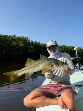 Fly fish lagoons and backwaters 