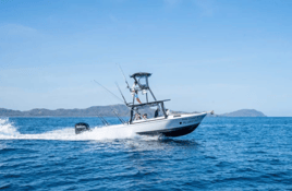 Solo Good SportFishing 