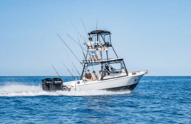 Solo Good SportFishing 